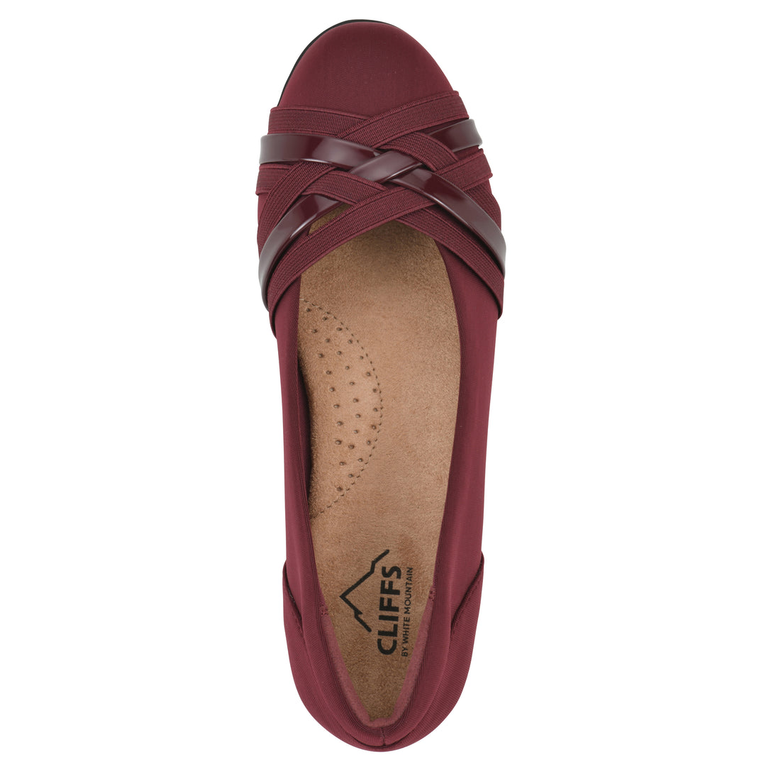 Chic Ballet Flat