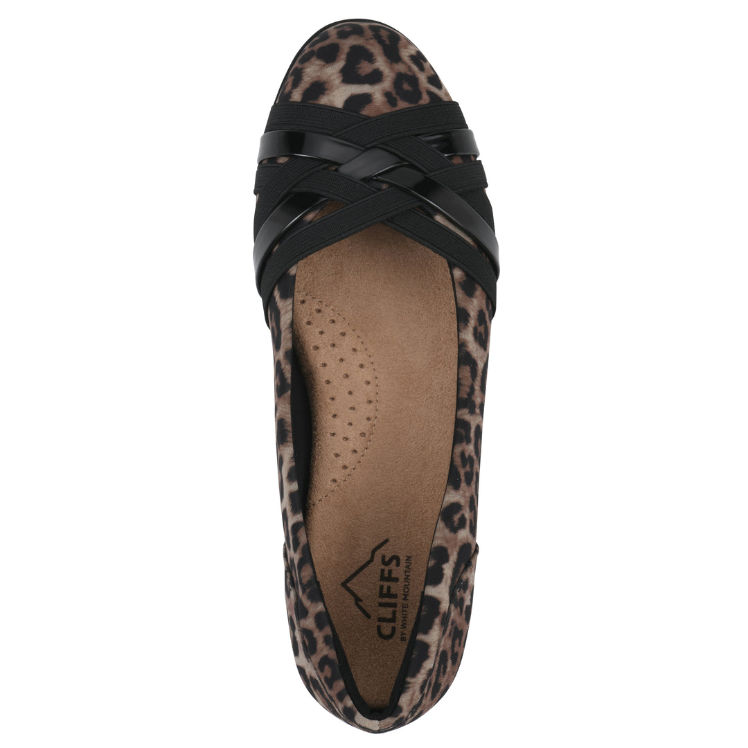 Chic Ballet Flat
